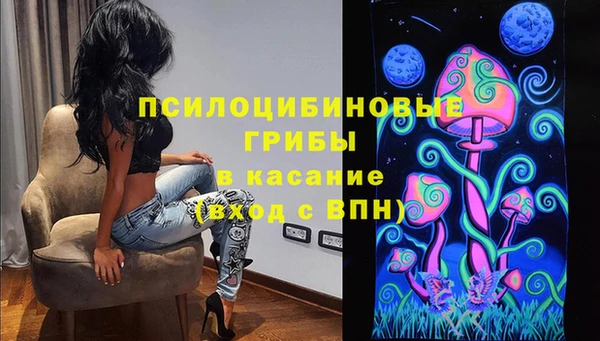 ПСИЛОЦИБИНОВЫЕ ГРИБЫ Абаза