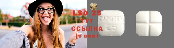 ПСИЛОЦИБИНОВЫЕ ГРИБЫ Абаза
