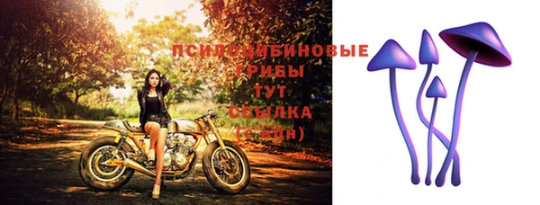 ПСИЛОЦИБИНОВЫЕ ГРИБЫ Абаза